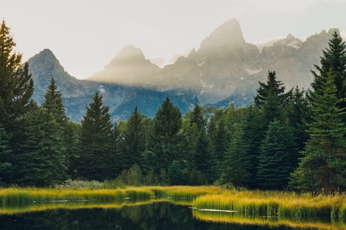 Wander More, Worry Less